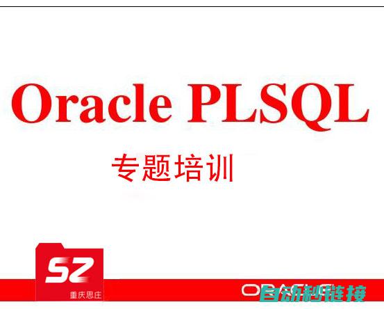 PLS-SQL实例程序二：条件语句与循环结构 (脾裂伤是轻伤还是重伤)